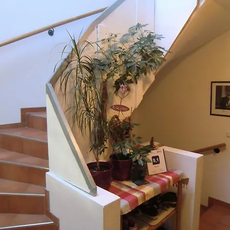 Haus Rye Bed & Breakfast 3*