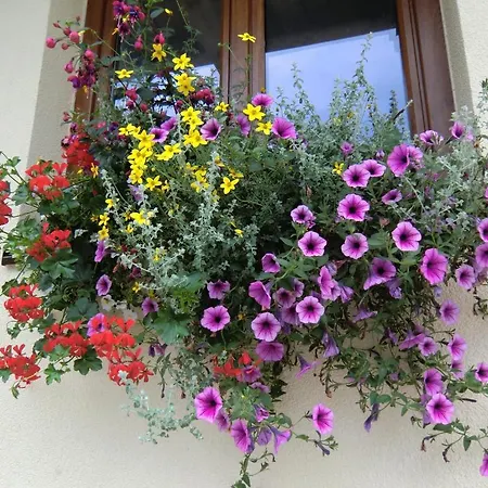 Bed & Breakfast Haus Rye 2*