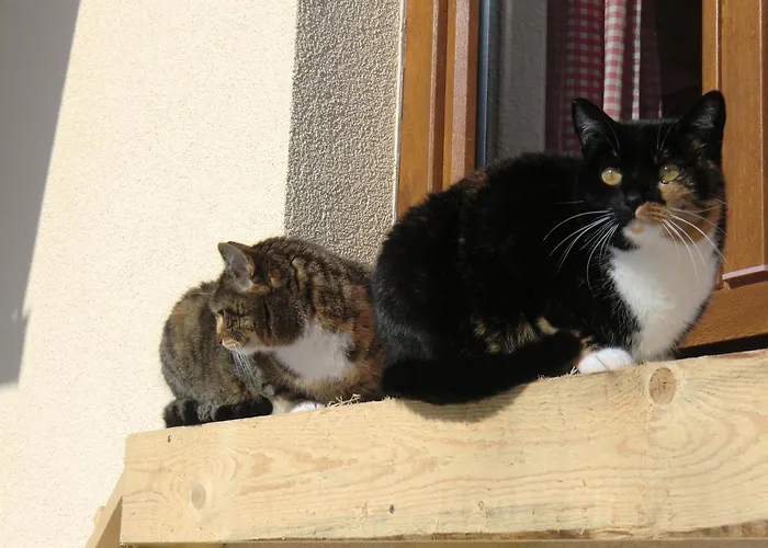 Haus Rye Bed and Breakfast 3*