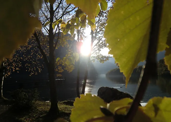 Haus Rye 3* Обертраун