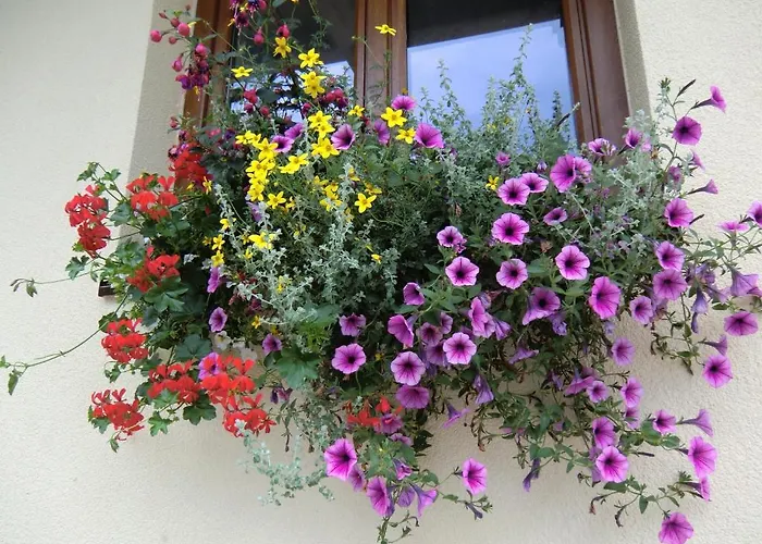 Bed and Breakfast Haus Rye 3*