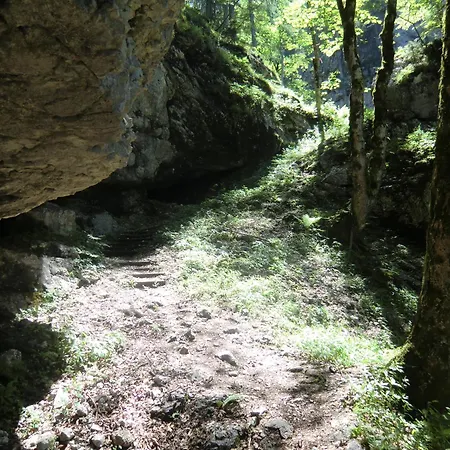 Haus Rye 3* 上特劳恩